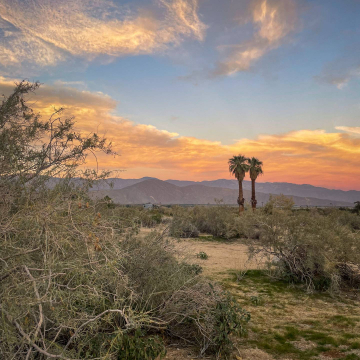 2026-02-IMG_0631251219