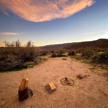 2026-02-IMG_0637251219