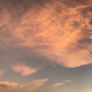 2026-02-IMG_0644251219