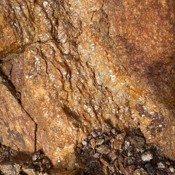 2026-02-IMG_0679251220