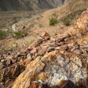 2026-02-IMG_0681251220