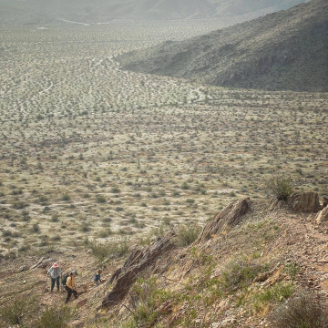 2026-02-IMG_0697-1251220