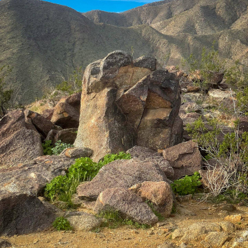 2026-02-IMG_0702251220