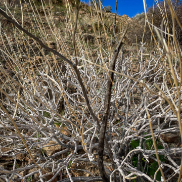 2026-02-IMG_0712251220