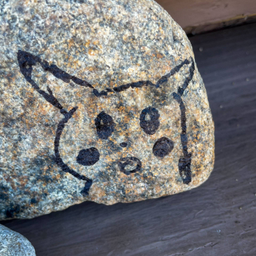 2026-02-IMG_0730251221