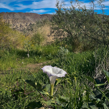 2026-02-IMG_0751251221