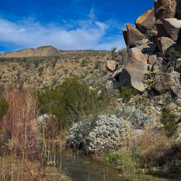 2026-02-IMG_0753251221