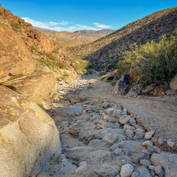 2026-02-IMG_0792251221