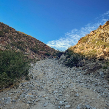 2026-02-IMG_0794251221