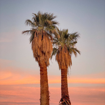 2026-02-IMG_0800251221