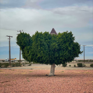 2026-02-IMG_0936251223