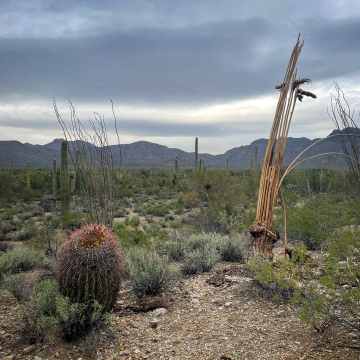 2026-02-IMG_1019251224