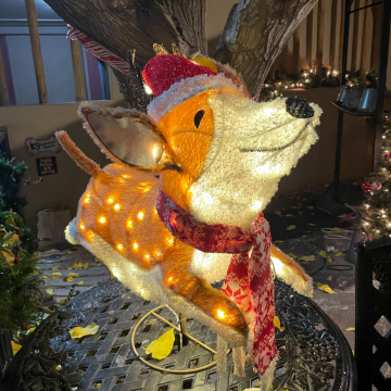 2026-02-IMG_1046251224