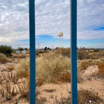 2026-02-IMG_1052251225