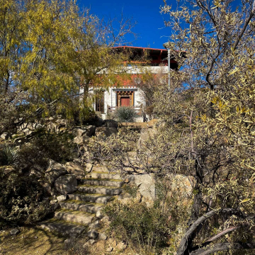 2026-02-IMG_1063251225