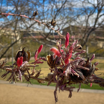 2026-02-IMG_1105251225