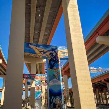 2026-02-IMG_1121251225