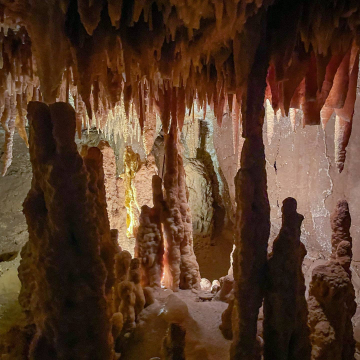 2026-02-IMG_1143-1251226