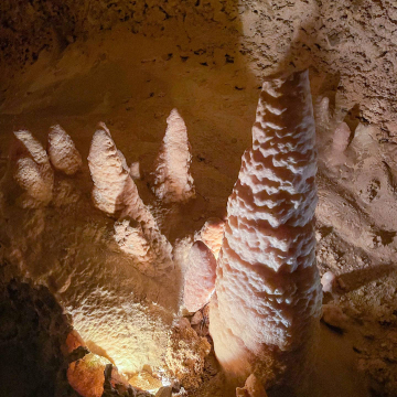 2026-02-IMG_1153251226