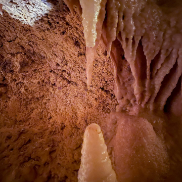 2026-02-IMG_1156251226