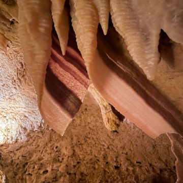 2026-02-IMG_1157251226