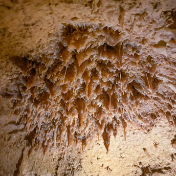 2026-02-IMG_1159251226