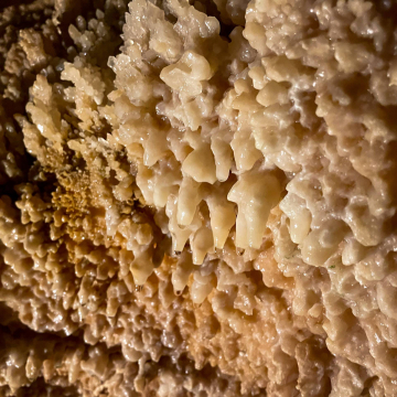 2026-02-IMG_1165251226