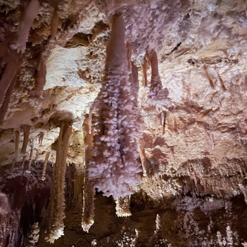 2026-02-IMG_1177251226