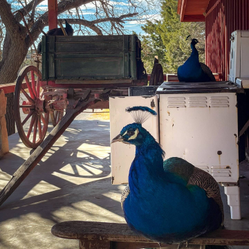 2026-02-IMG_1208251226