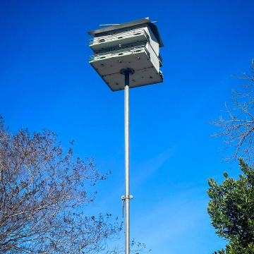 2026-02-IMG_1272251230