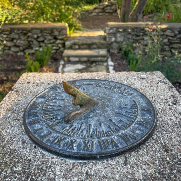 2026-02-IMG_1276251230