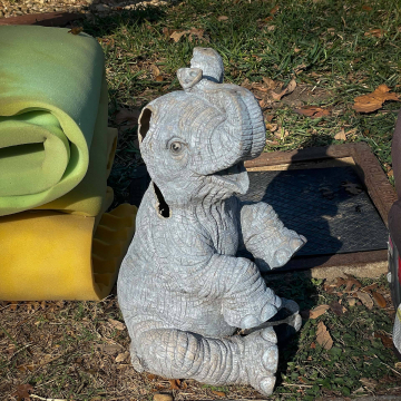 2026-02-IMG_1306251231