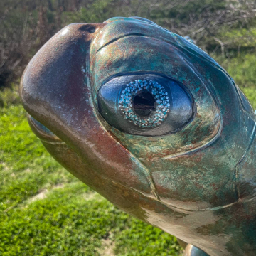 2026-02-IMG_1339260102