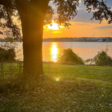 2026-02-IMG_1439260105