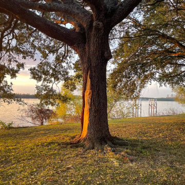 2026-02-IMG_1441260105