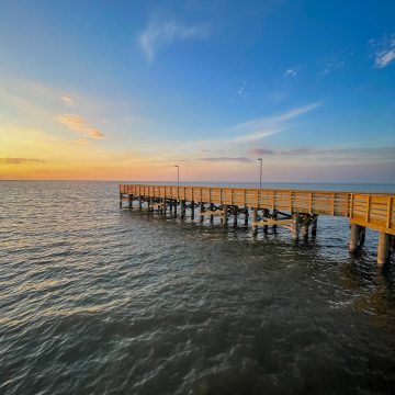 2026-02-IMG_1469260106