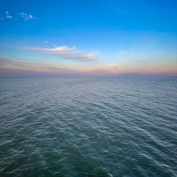 2026-02-IMG_1474260106