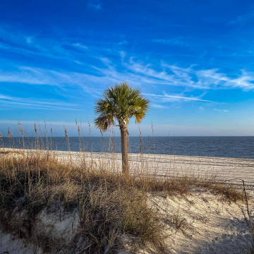 2026-02-IMG_1543260108