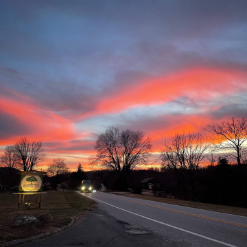 2026-02-IMG_1674-1260113