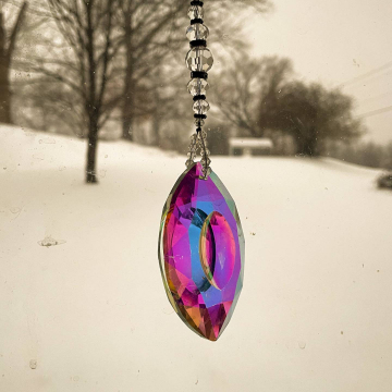 2026-02-IMG_1944260125