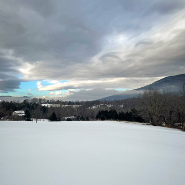 2026-02-IMG_1966260126