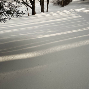 2026-02-IMG_1996260126