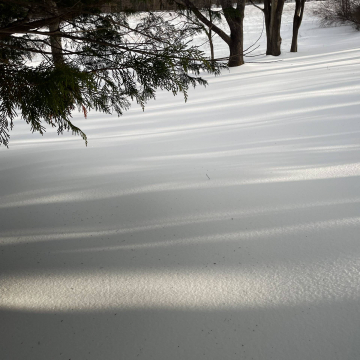 2026-02-IMG_1998260126