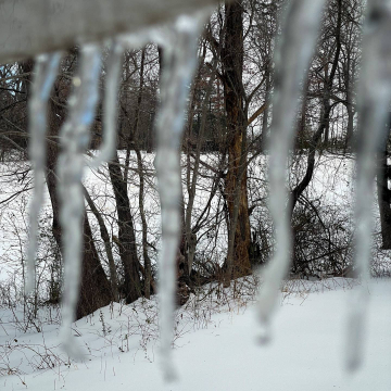 2026-02-IMG_1999260126