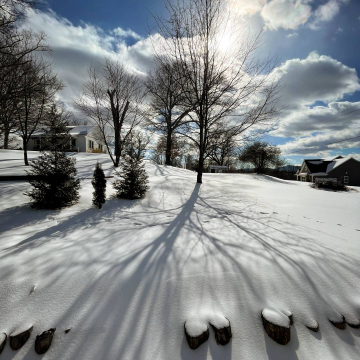 2026-02-IMG_2013260126