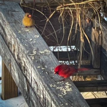 2026-02-IMG_2043260128