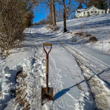 2026-02-IMG_2061260129