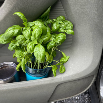 2026-02-IMG_2223260203