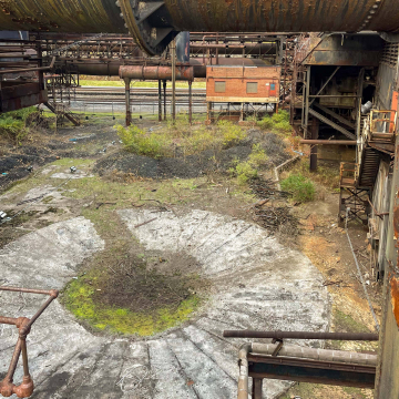 2026-02-IMG_8160251117