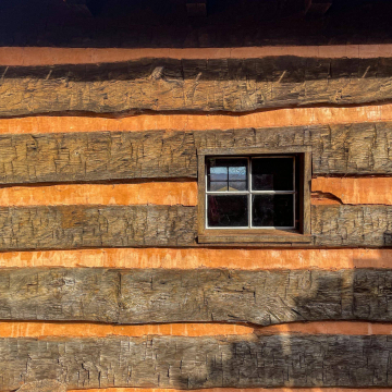 2026-02-IMG_8222251119